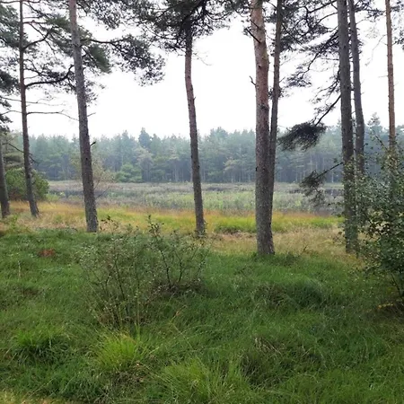 Prázdninový dům 8 Person In Romo Kongsmark